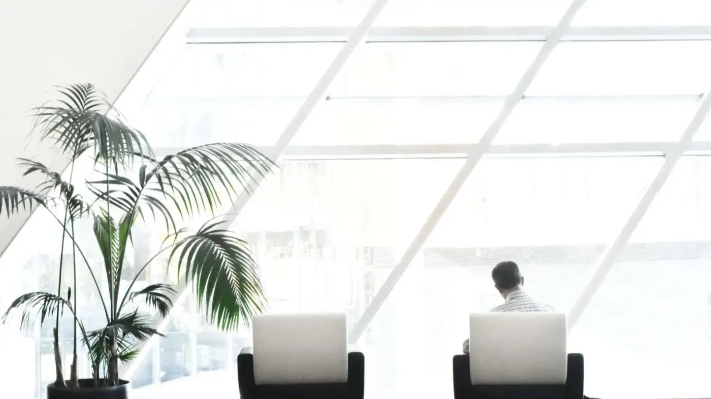 Ein Büro mit einer Palme, zwei Stühlen und einer Person von hinten mit Blick nach draussen.